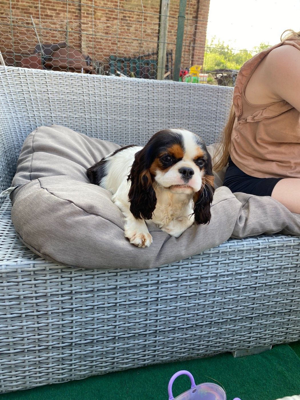 Ulane de la maison du ryez